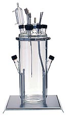 Laboratory Fermenter-Bioreactor 7 l vessel Laboratory Fermenter-Bioreactor 7 l vessel